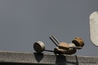 IMG 0084