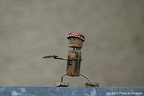 IMG 0101