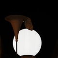 IMG 9313