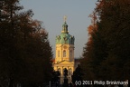 IMG 4293