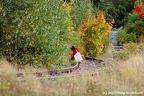 IMG 4951