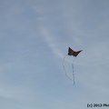 IMG 4958