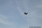 IMG 4958