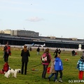 IMG 4956