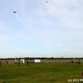IMG 4960