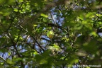 IMG 6388