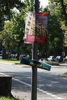 IMG 6772