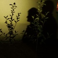 IMG 7824