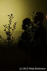 IMG 7824