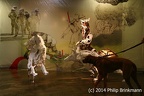 IMG 8658