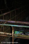 IMG 9438
