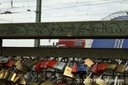 IMG 7958