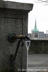 IMG 3745