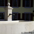IMG 3879