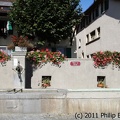 IMG 3896