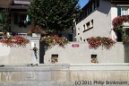 IMG 3896