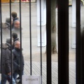 IMG 0215